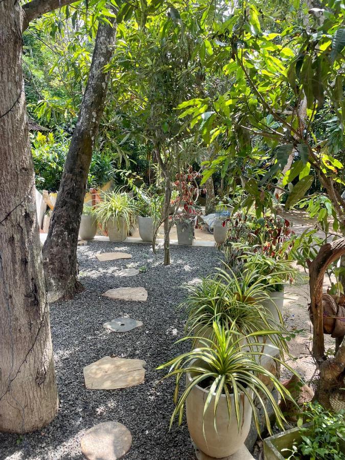 Jungle Escape Hiriketiya Hotel Dikwella Kültér fotó